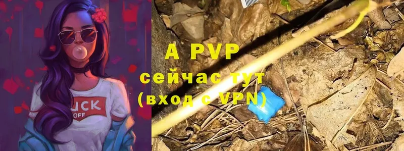 A PVP крисы CK  Тында 